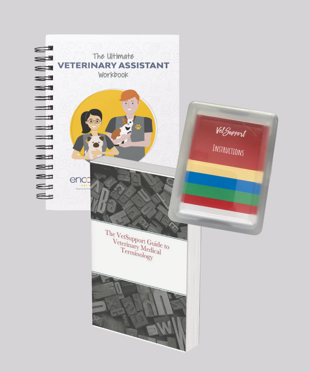 CSR Guest Experience Workbook Product Image